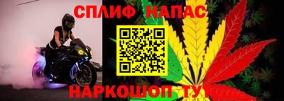 герыч Пугачёв