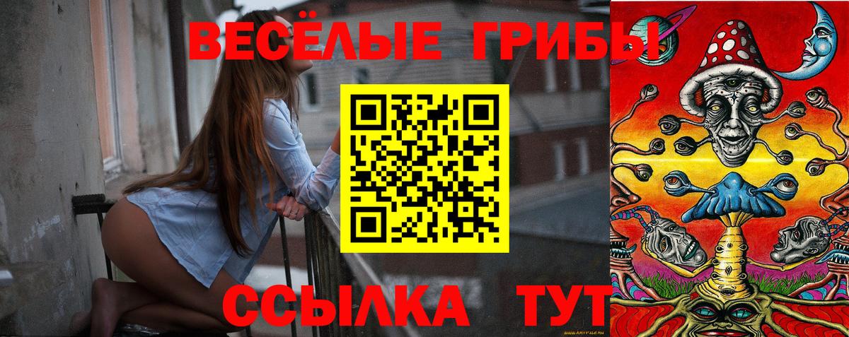 сколько стоит  Вход с VPN  Санкт-Петербург  Галлюциногенные грибы Psilocybine cubensis 